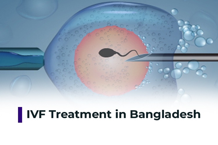 IVF Treatment in Bangladesh: Challenges and Opportunities